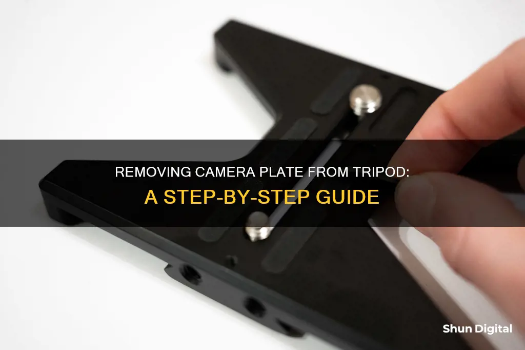 how to remove camera plate from tripod