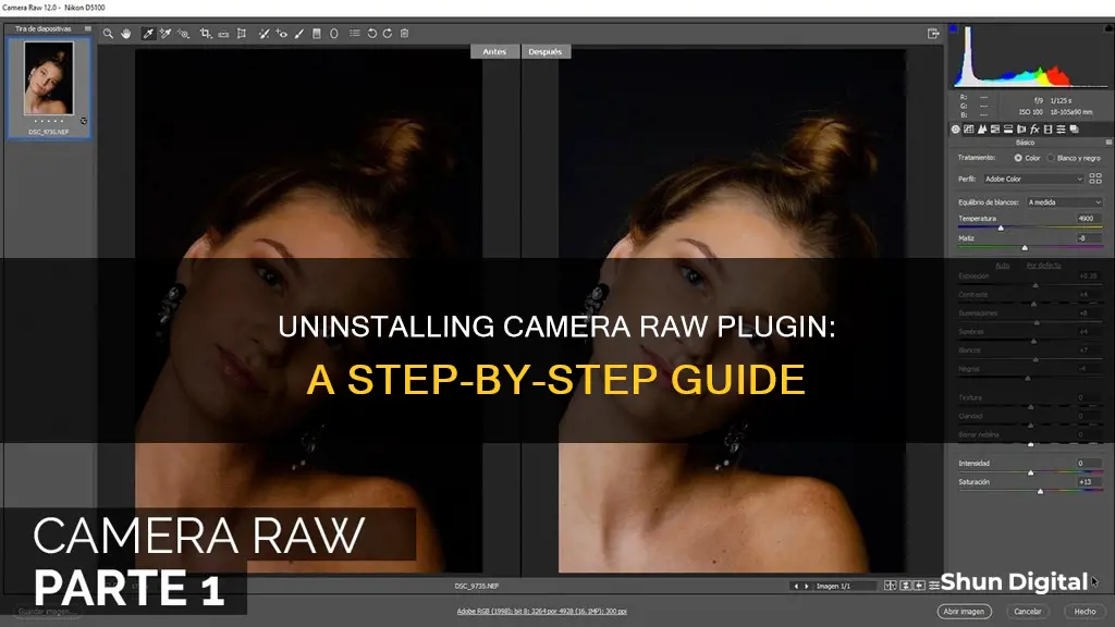 how to remove camera raw plugin