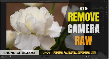 Eliminating Camera Raw: A Step-by-Step Guide to Removal