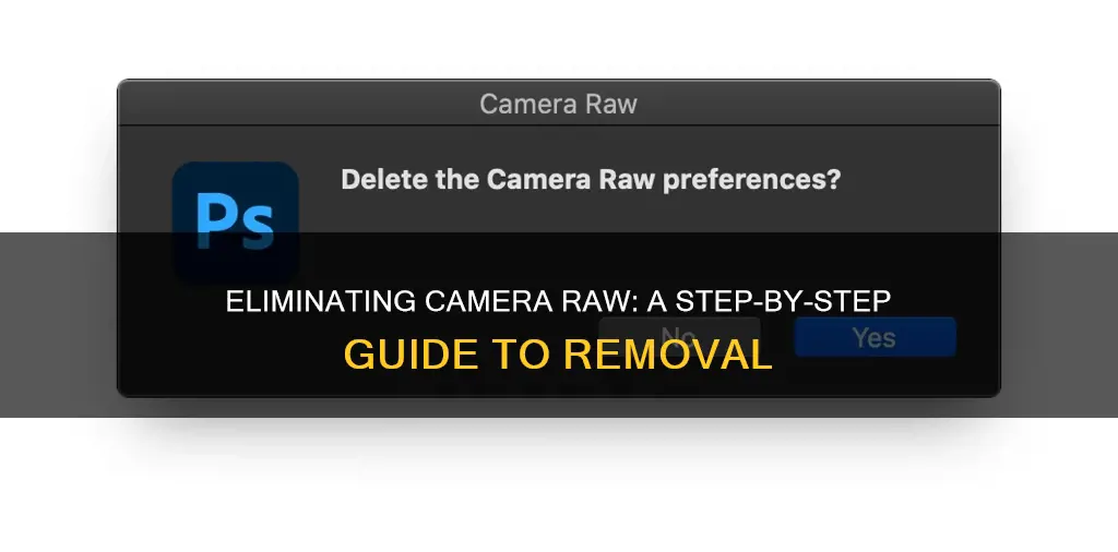 how to remove camera raw