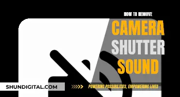 Turning Off the Shutter Sound: A Comprehensive Guide