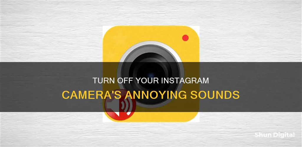 how to remove camera sound from ig