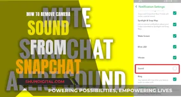 Turn Off Camera Sound in Snapchat: A Step-by-Step Guide