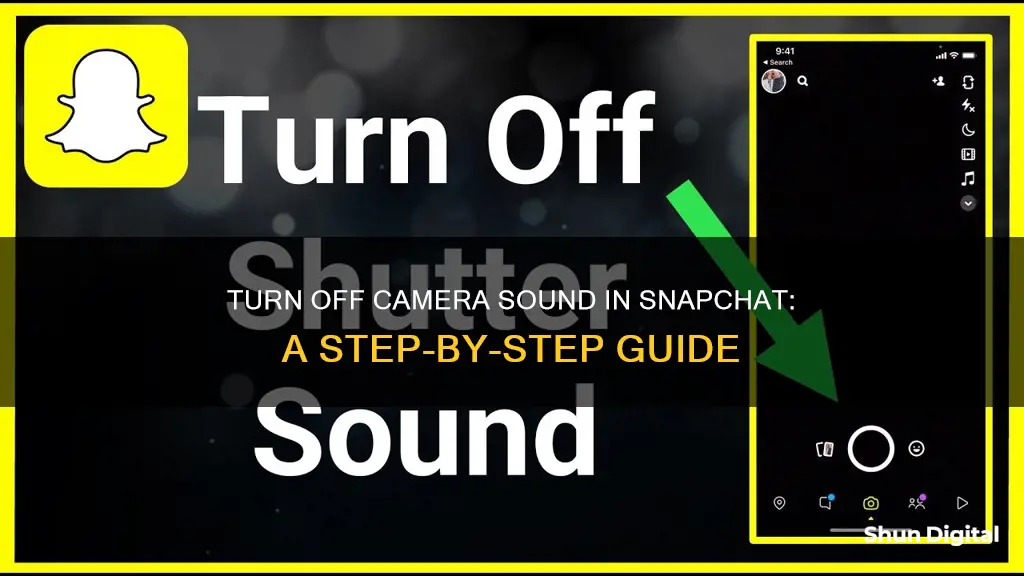 how to remove camera sound from snapchat