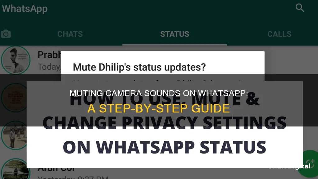 how to remove camera sound in whatsapp