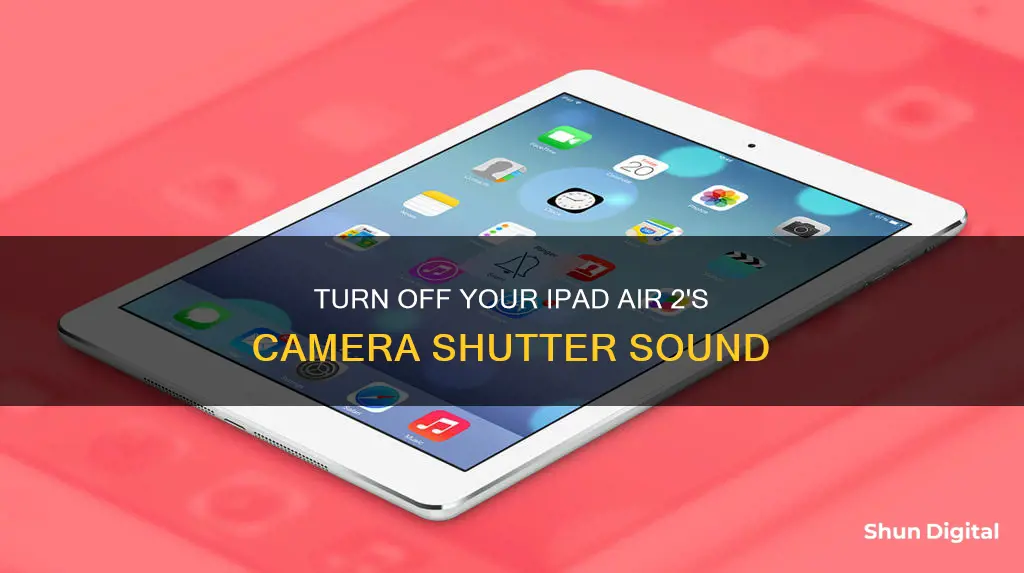 how to remove camera sound on ipad air 2