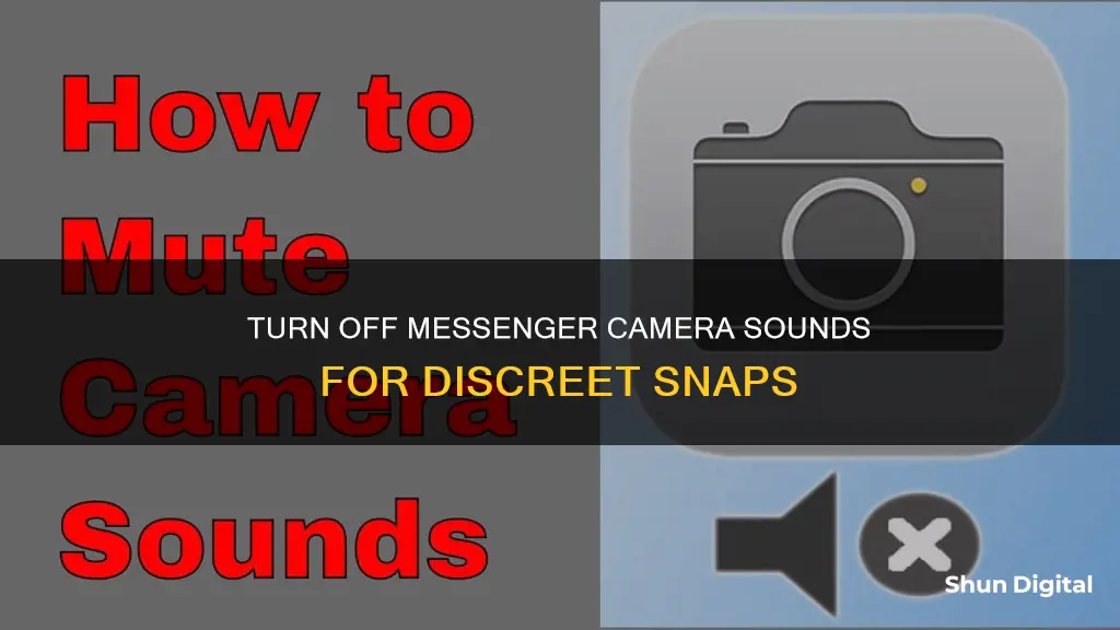 how to remove camera sound on messenger