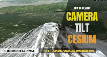 Removing Camera Tilt in Cesium: A Step-by-Step Guide