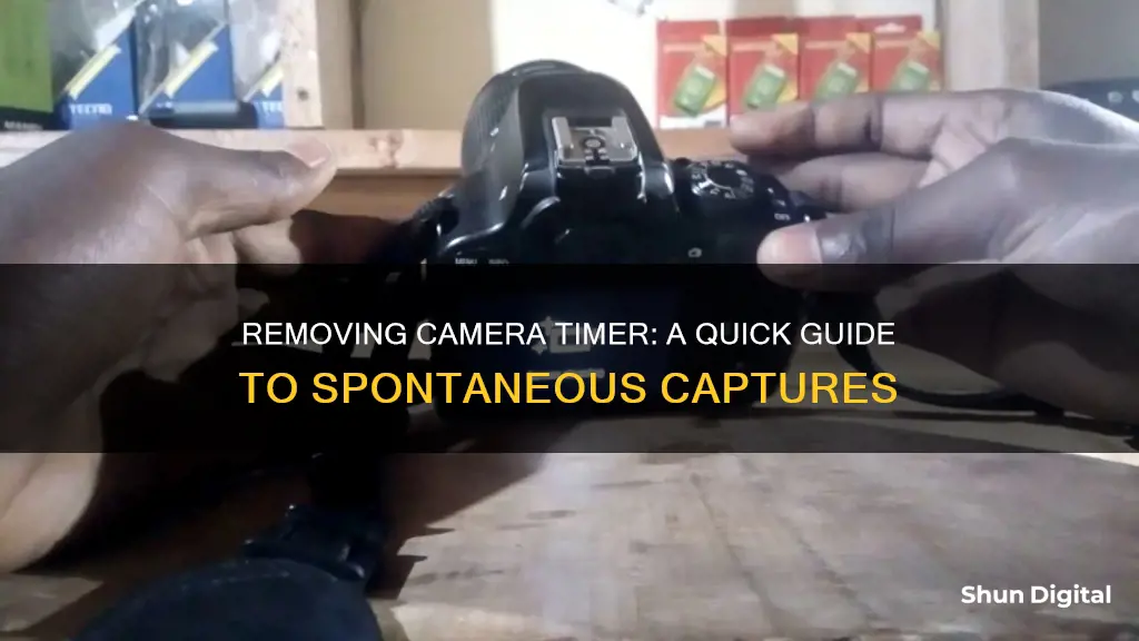 how to remove camera timer