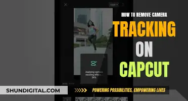 A Simple Guide to Removing Camera Tracking in CapCut