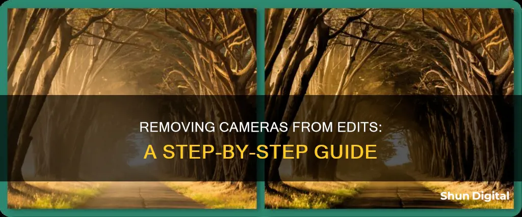 how to remove camera when editing