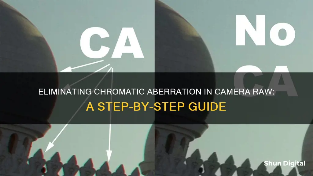 how to remove chromatic aberration in camera raw