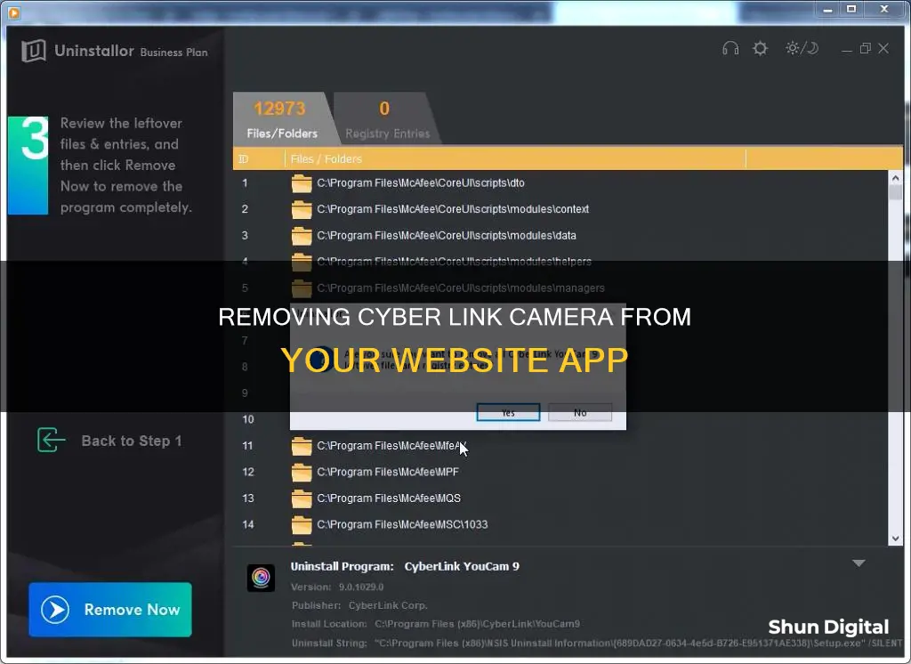 how to remove cyber link camera from website app