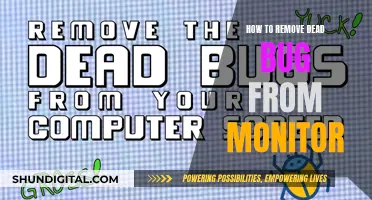 Removing Dead Bugs from Your Monitor: A Step-by-Step Guide