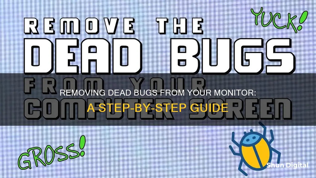 how to remove dead bug from monitor