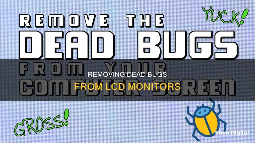 how to remove dead bug inside lcd monitor