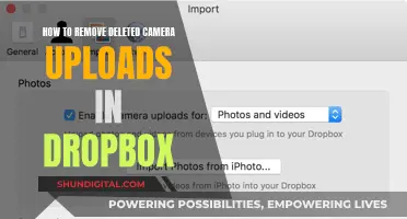 Clearing Camera Uploads: Freeing Space in Dropbox