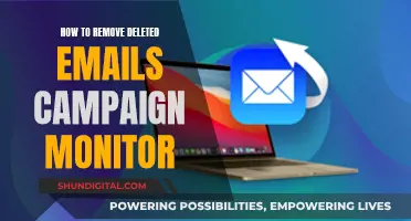 Efficiently Remove Deleted Emails from Campaign Monitor