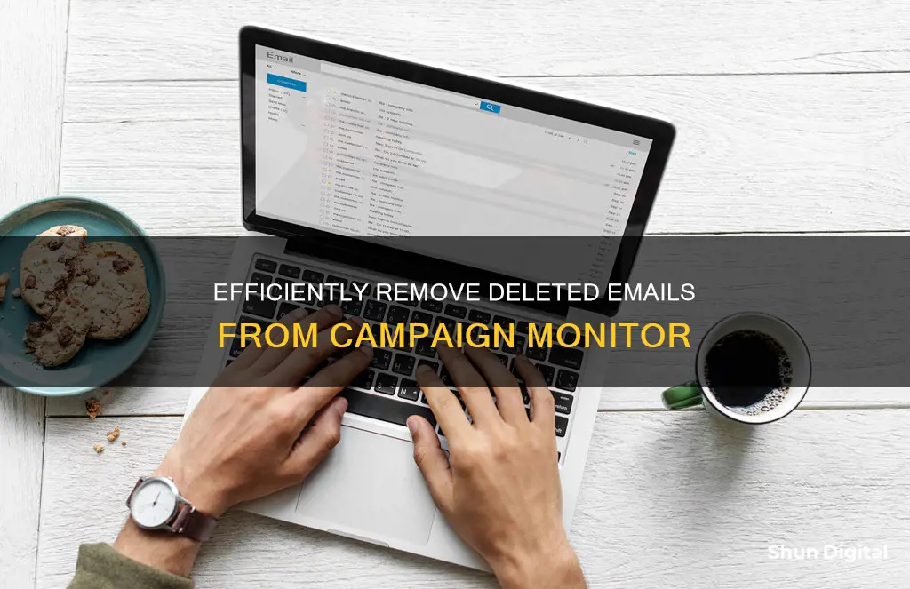 how to remove deleted emails campaign monitor