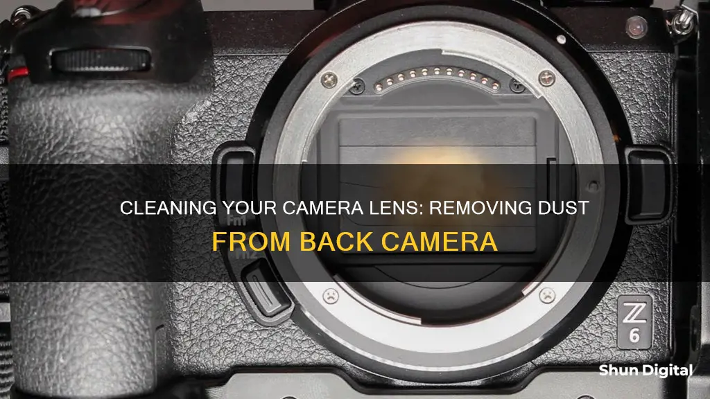 how to remove dust from back camera