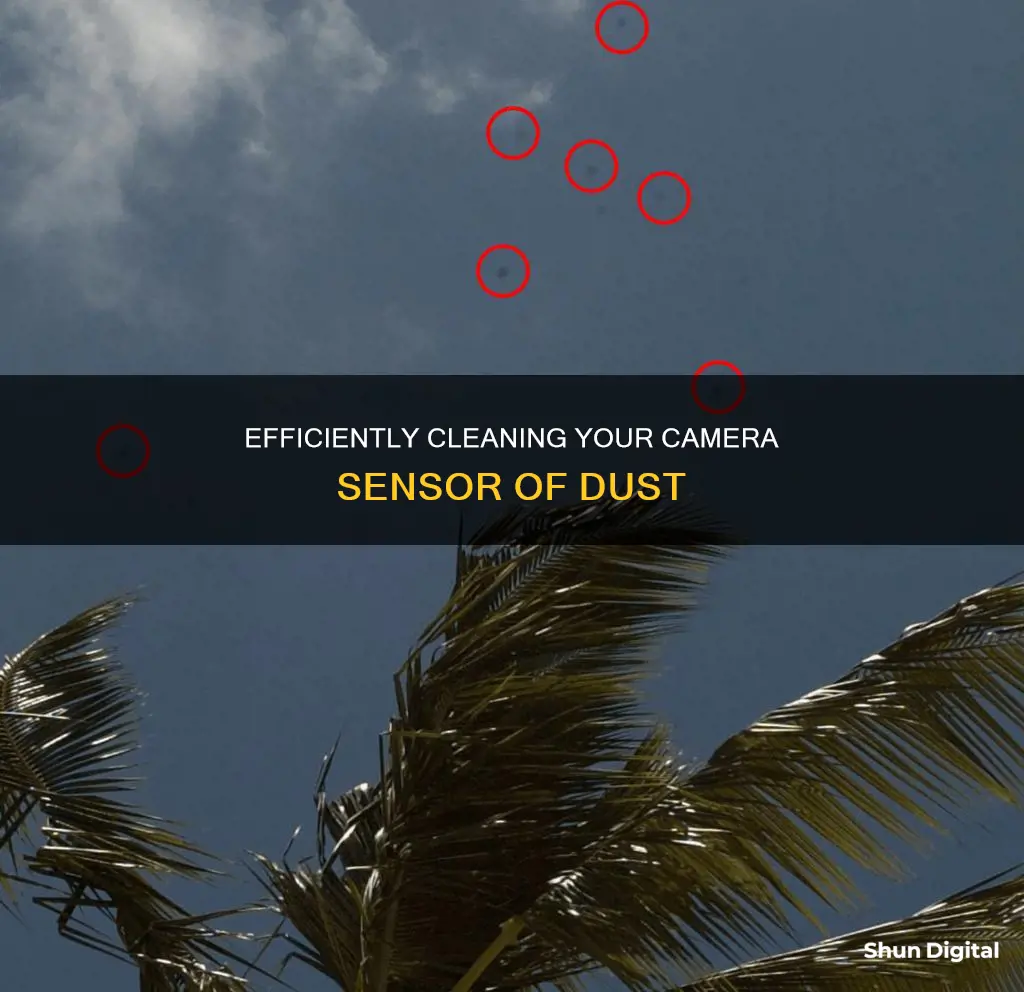 how to remove dust from camera sensor