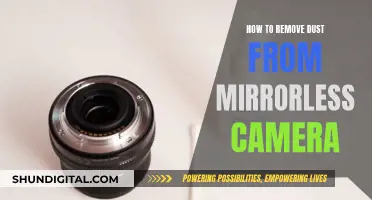 Cleaning Mirrorless Cameras: Removing Dust Efficiently