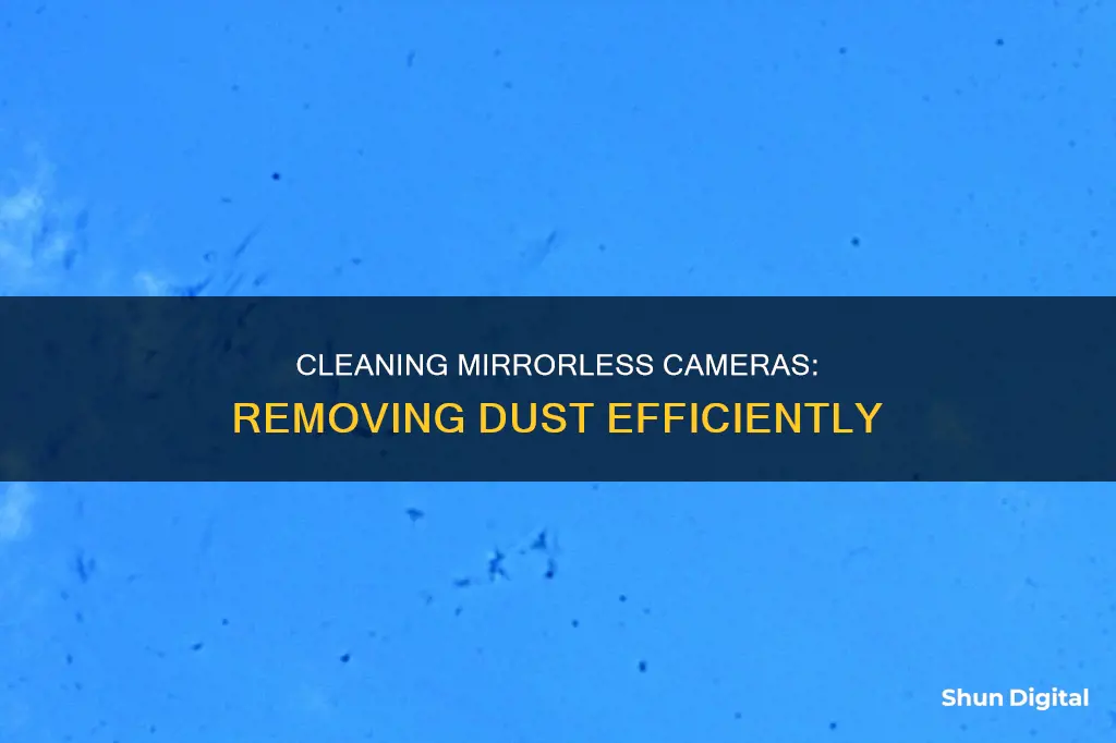 how to remove dust from mirrorless camera