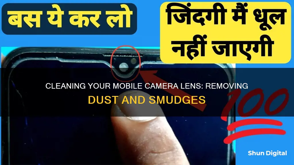 how to remove dust from mobile camera