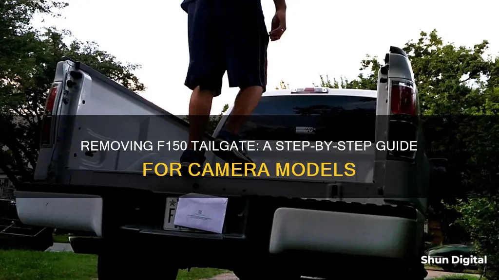 how to remove f150 tailgate with camera