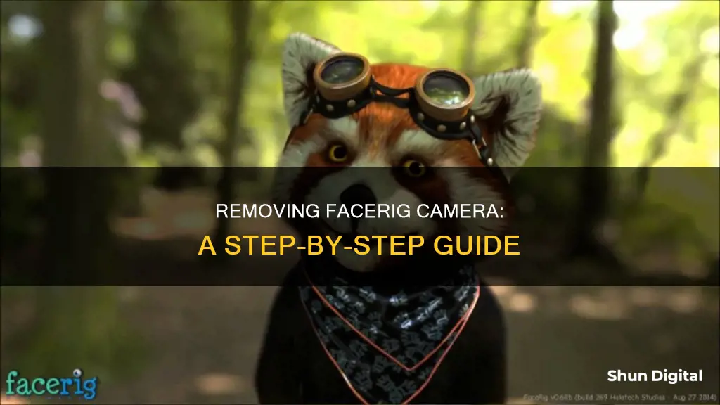 how to remove facerig camera