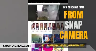 Unlocking Snap Camera's Raw Potential: Removing the Filter