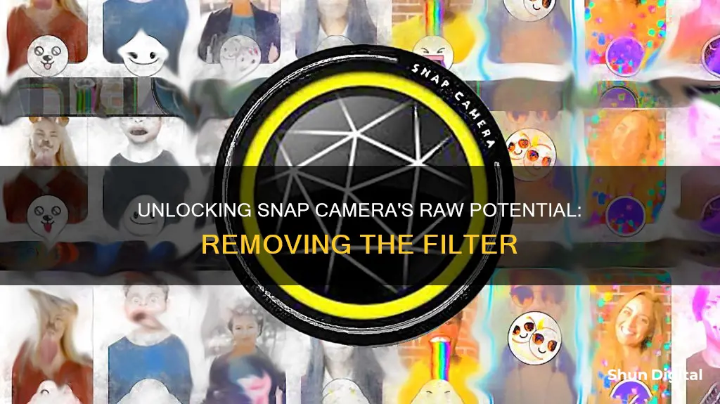 how to remove filter from snap camera