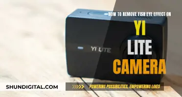 Eliminating Fish Eye Effect on Yi Lite Camera