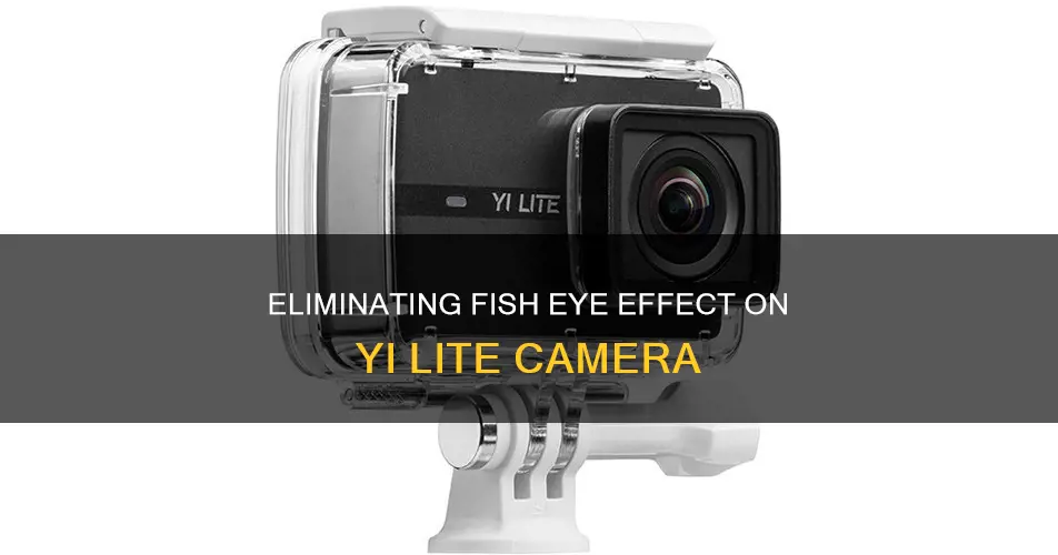 how to remove fish eye effect on yi lite camera