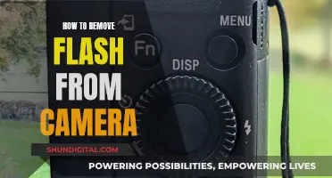 Eliminating Camera Flash: A Step-by-Step Guide