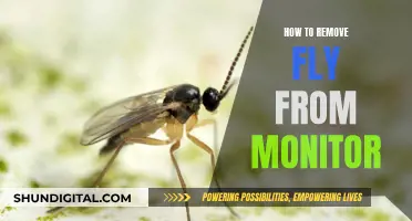 Keep Your Monitor Fly-Free: Simple Steps to Remove Pesky Insects