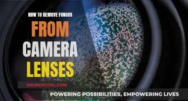 Fighting Fungus: Cleaning Camera Lenses