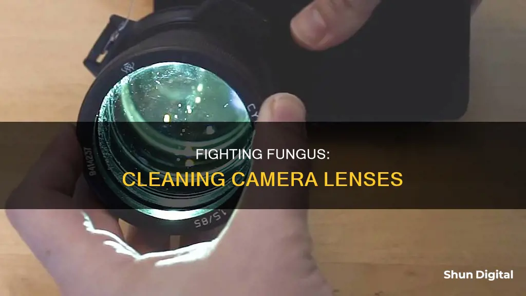 how to remove fungus from camera lenses