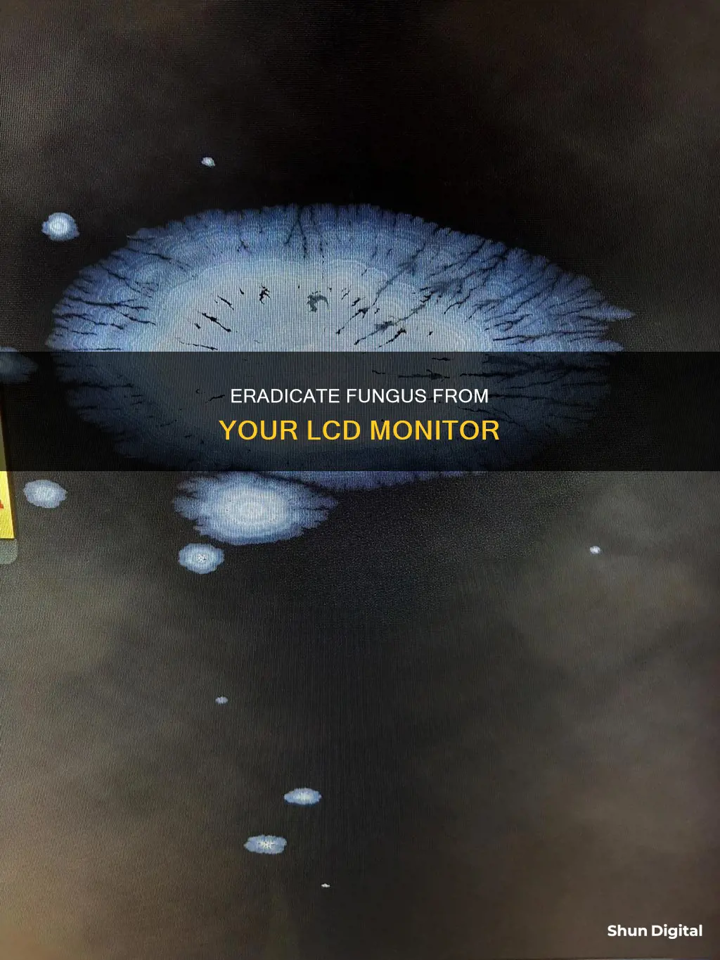 how to remove fungus from lcd monitor