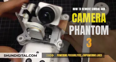 Removing Gimbal and Camera from Phantom 3: Step-by-Step Guide