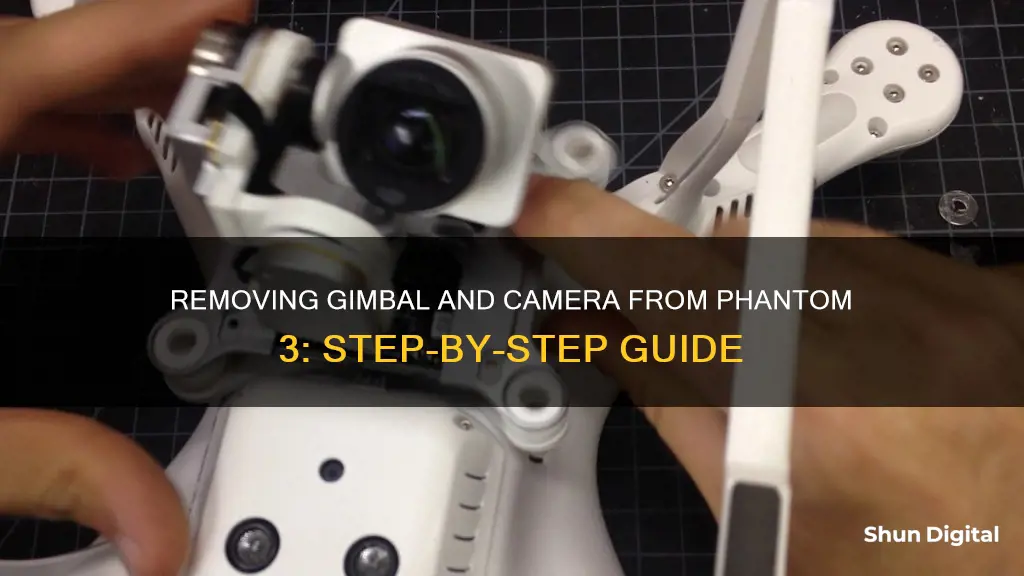 how to remove gimbal and camera phantom 3