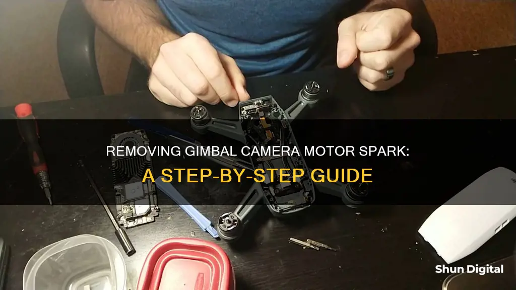 how to remove gimbal camera motor spark