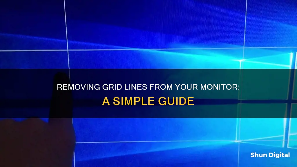 how to remove grid lines on monitor