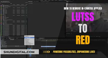 Unlocking RAW Footage: Removing In-Camera LUTs from RED Cameras