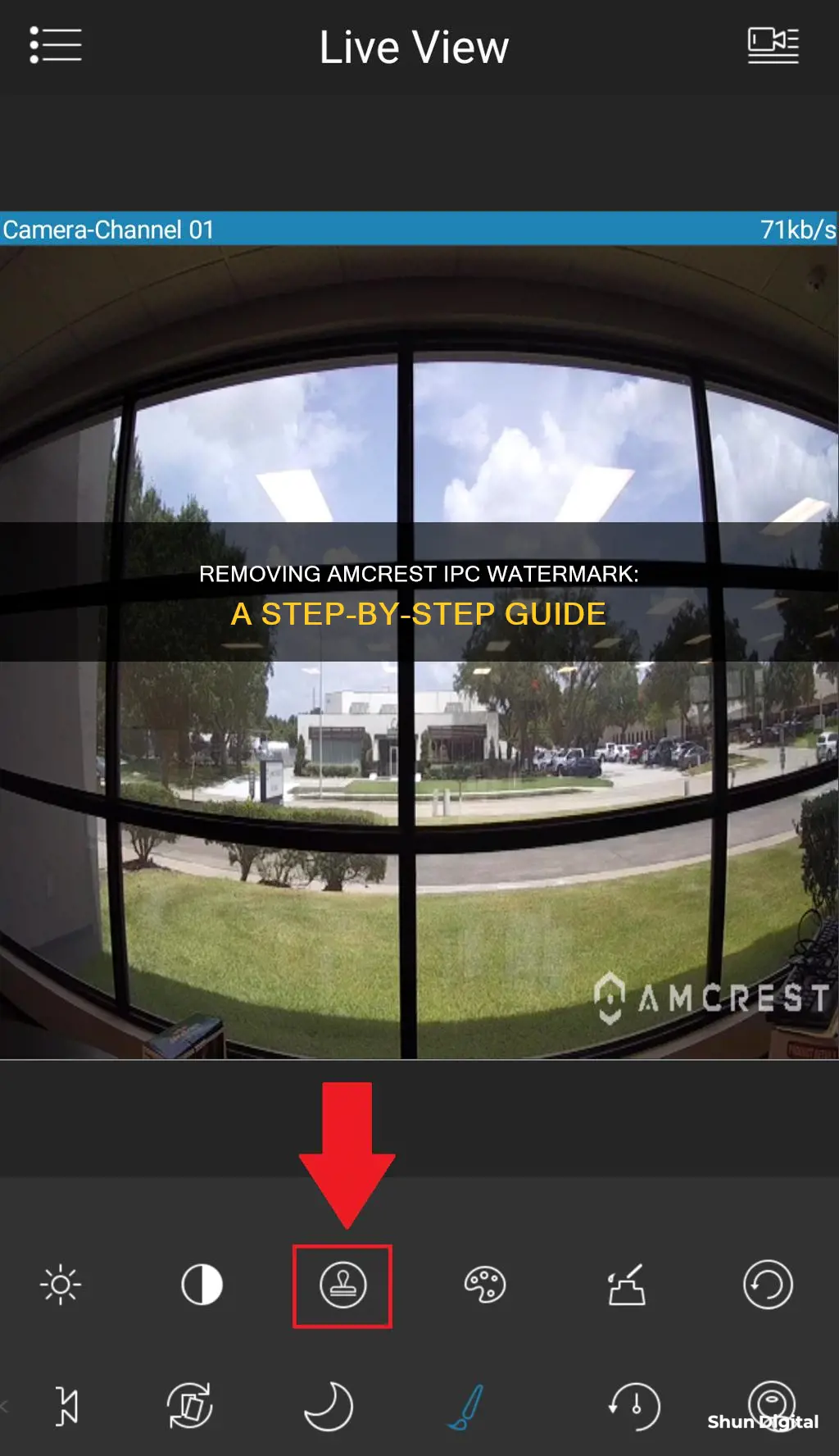 how to remove ipc watermark from amcrest camera