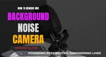 Eliminating Mic Background Noise for Better Video Quality