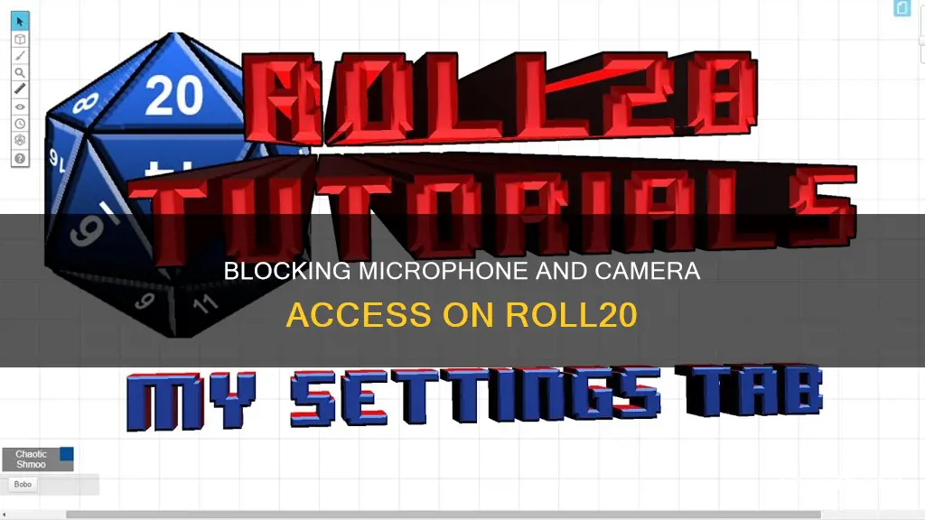 how to remove microphone and camera acsess on roll20