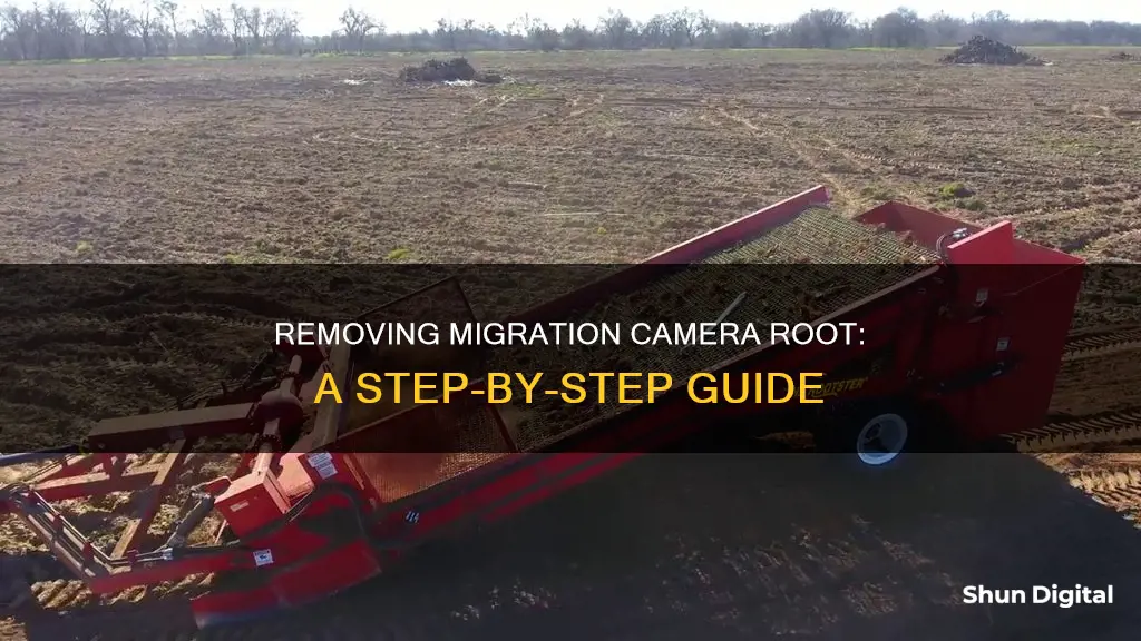 how to remove migration camera root