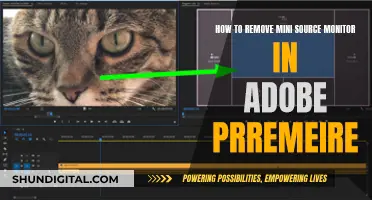 Removing Mini Source Monitor in Adobe Premiere: A Step-by-Step Guide