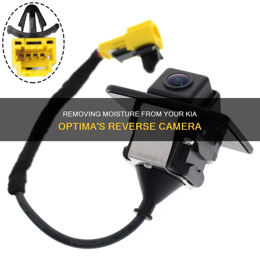 how to remove moisture from reverse camera kia optima